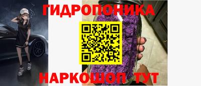 spice Аргун