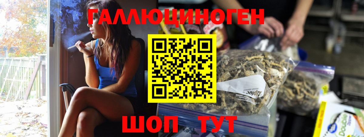 где купить наркоту  Псилоцибиновые грибы мухоморы  Вход с VPN  Великий Устюг 